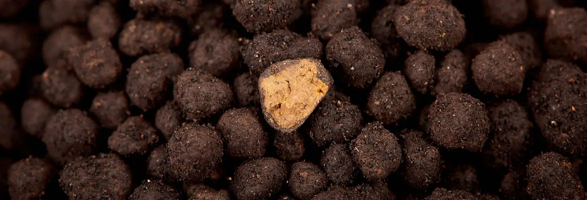 دو لایه روش ساخت سویل شریمپ نئو خاک بستر میگو