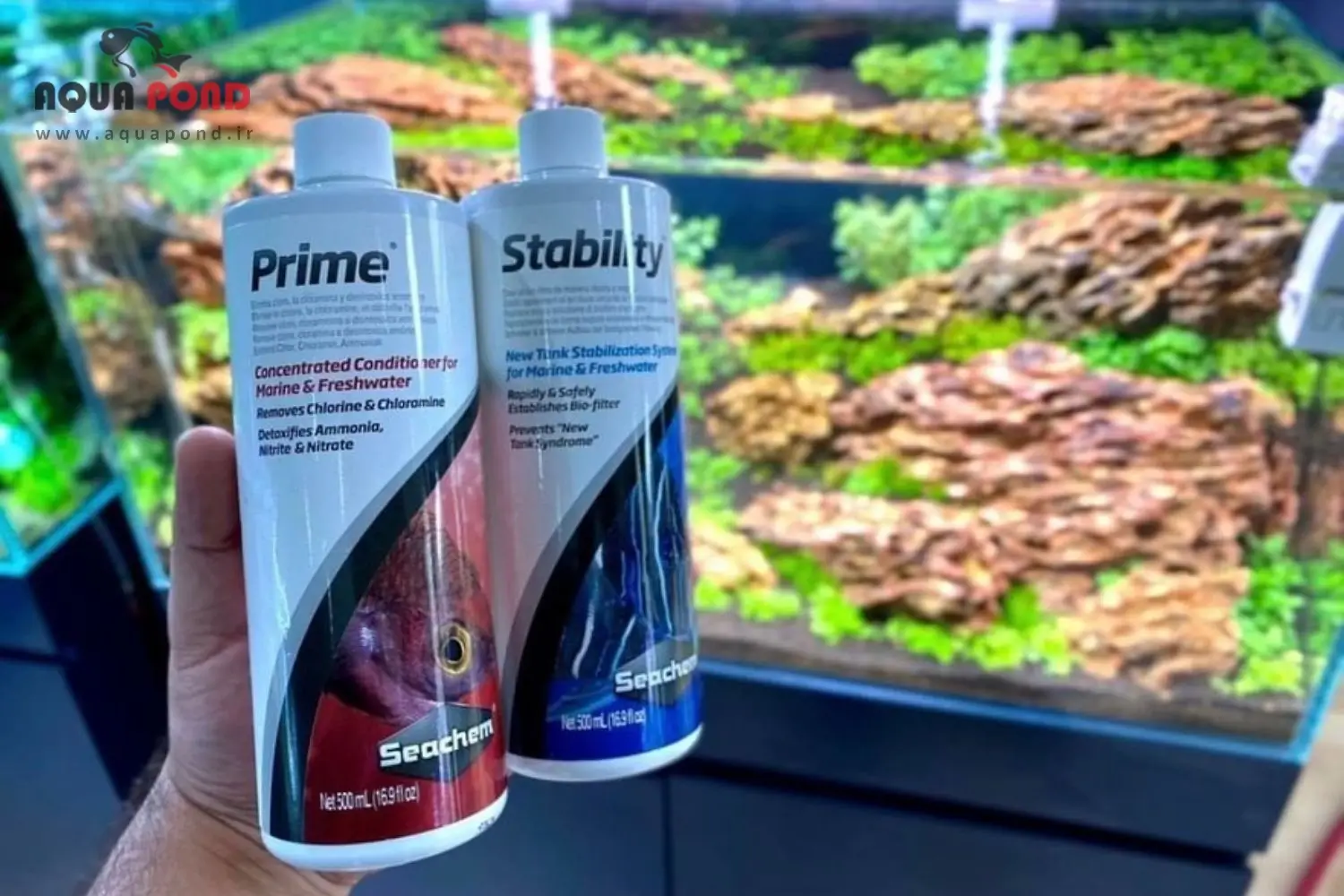 سیچم استبیلیتی و سیچم پرایم