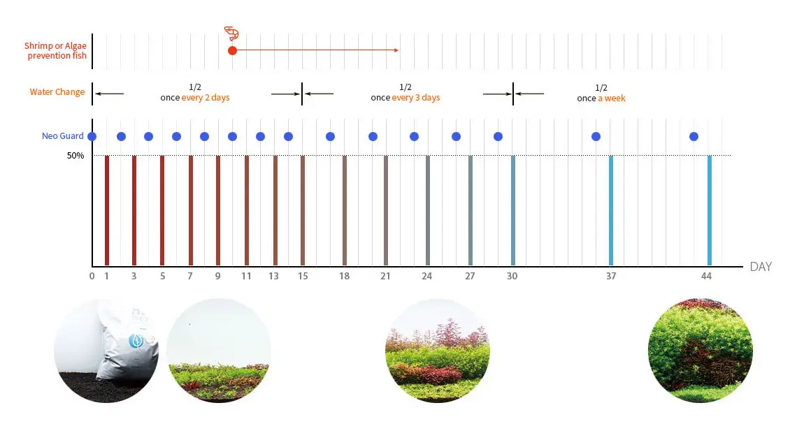 w01 چرخه تغییر آب با نئو سویل نرمال