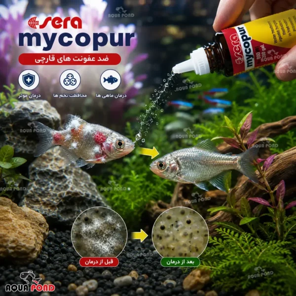 داروی مایکاپور سرا(sera mycopur)