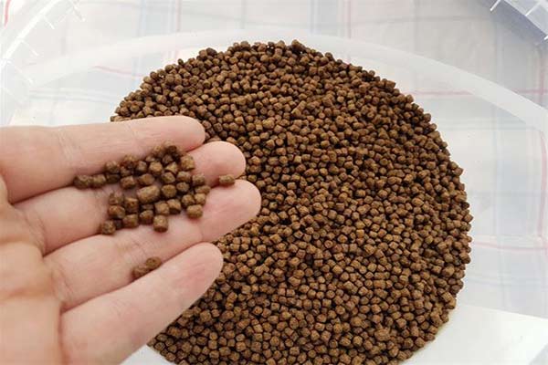 1712991759_1710679923_صادرات-غذای-ماهی (2)