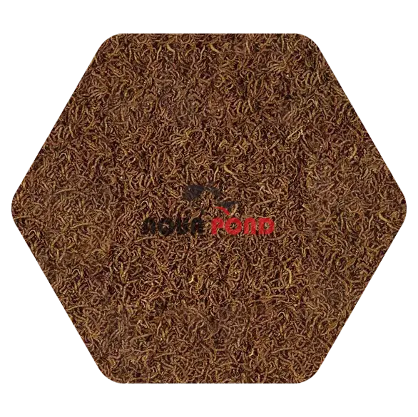 FD blood worms تروپیکال کرم خونی خشک شده غذای ماهی و خزندگان