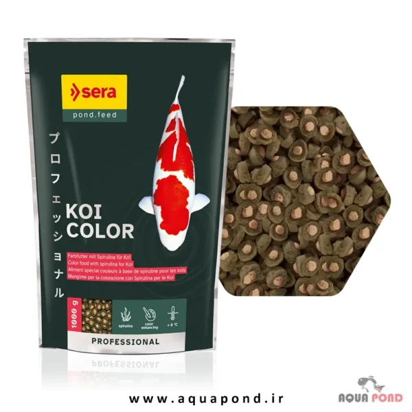 غذا رنگ کوی پروفشنال کالر سرا 1kg