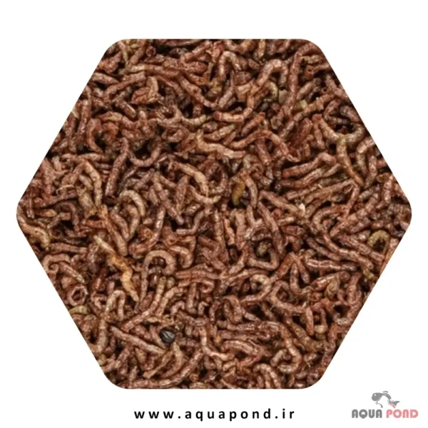 FD blood worms تروپیکال کرم خونی خشک شده غذای ماهی و خزندگان