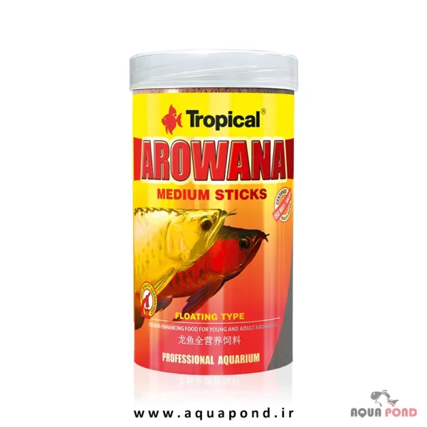 Tropical arowana medium sticks