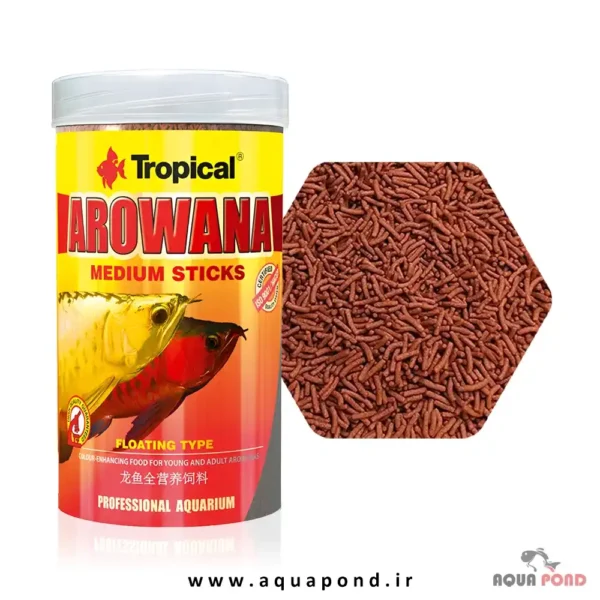 آروانا مدیوم استیک تروپیکال غذای ماهیان شکارچی