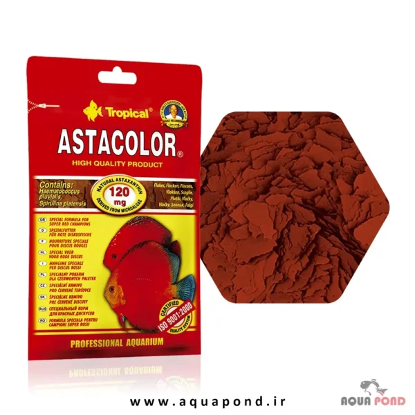 آستاکالر تروپیکال غذای پولکی تقویت رنگ ماهی دیسکس