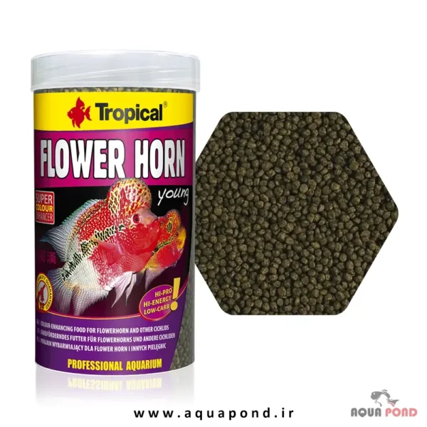 فلاور هورن جوان تروپیکال غذای گرانولی ماهی فلاور و سیچلاید های گوشت خوار