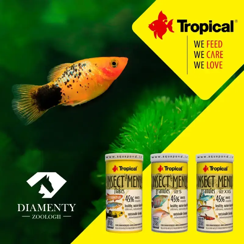 اینسکت منو غذای گرانولی تروپیکال سایز S