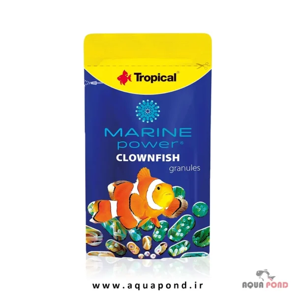 Tropical marine power clownfish 15g