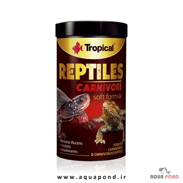 Tropical reptile carnivore soft