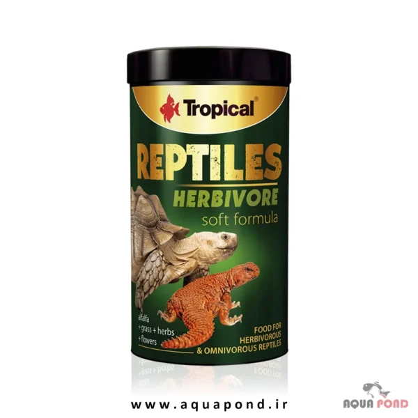 Tropical reptile herbivore soft