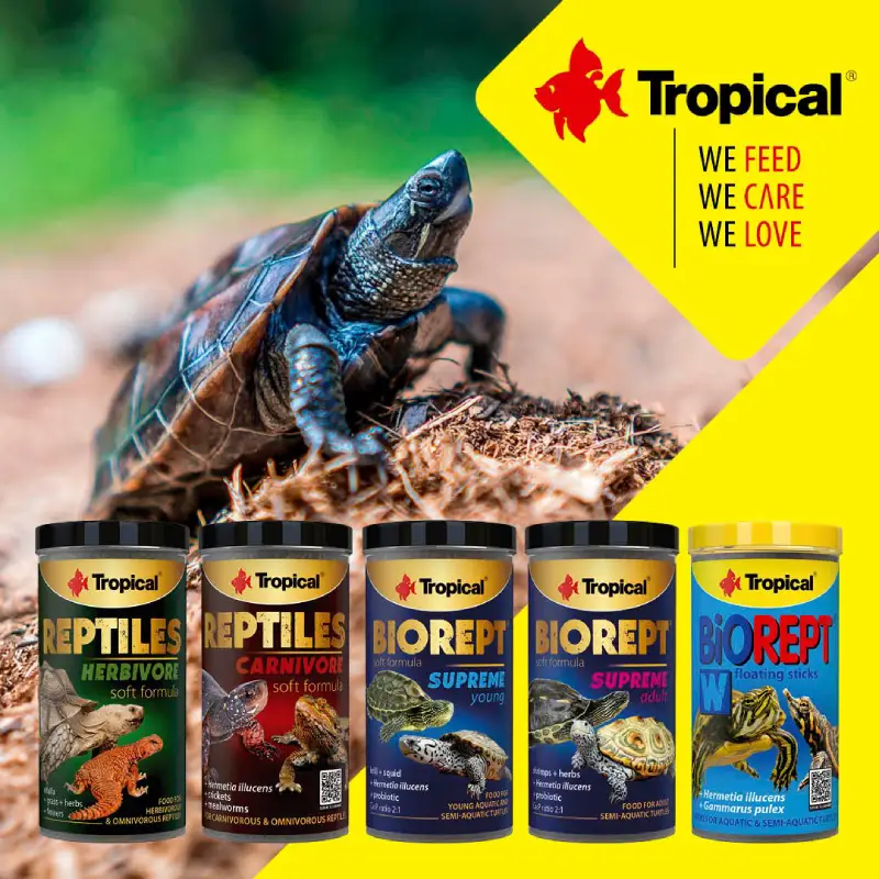 رپتایل هربیور سافت لاین تروپیکال غذای کامل و غنی خزندگان گیاهخوار و همه چیزخوار