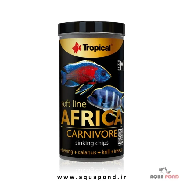 Tropical soft line africa carnivore size M