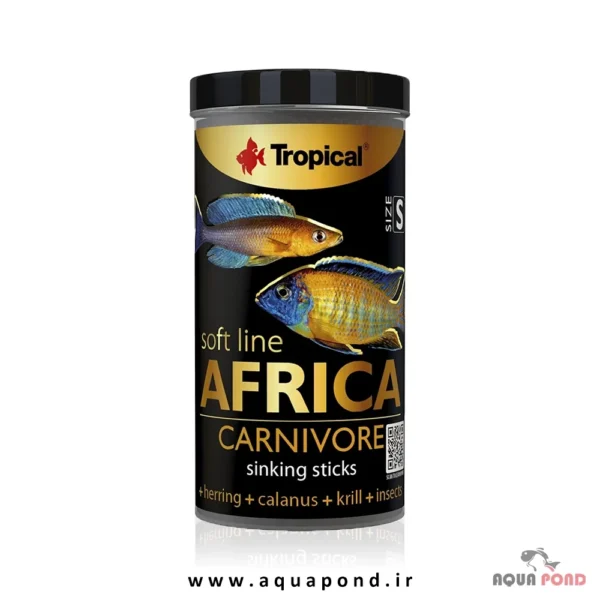 Tropical soft line africa carnivore size S