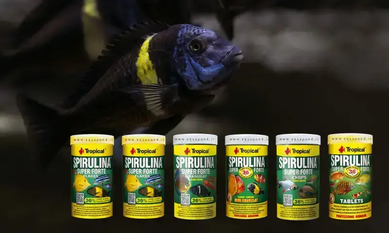 اسپیرولینا سوپر فورت 36% پولکی تروپیکال غذای ماهی گیاه‌خوار آبشور و شیرین