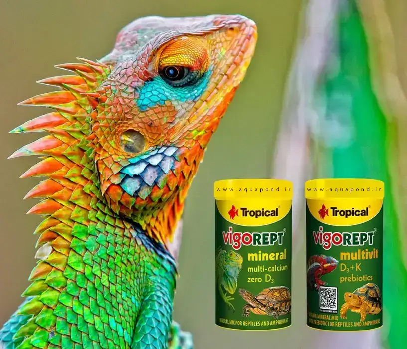 ویگورپت مولتی ویت D3+K تروپیکال مکمل ویتامین و مواد معدنی برای خزندگان