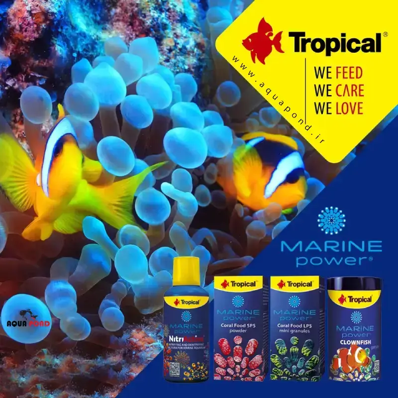 مارین پاور کورال SPS تروپیکال غذای پودری مرجان های آبشور