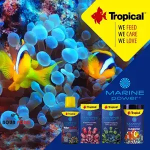 مارین پاور کلونفیش تروپیکال غذای دلقک ماهی، ماهیهای کوچک و شقایقهای دریایی