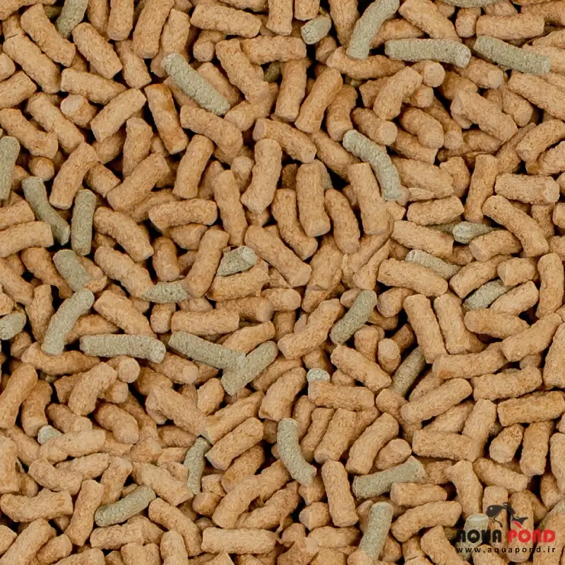 رافی پی نیچر سرا غذای روزانه لاکپشت آبزی