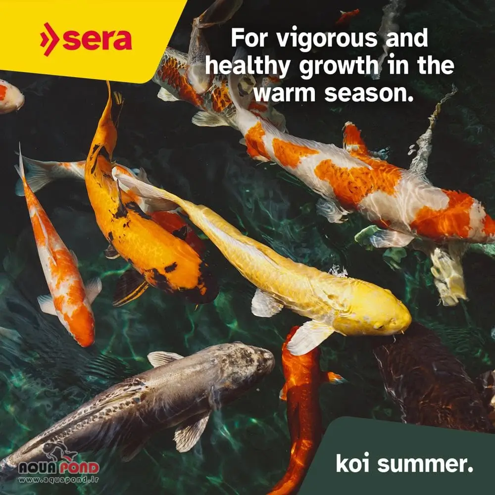 غذای سرا کوی سامر