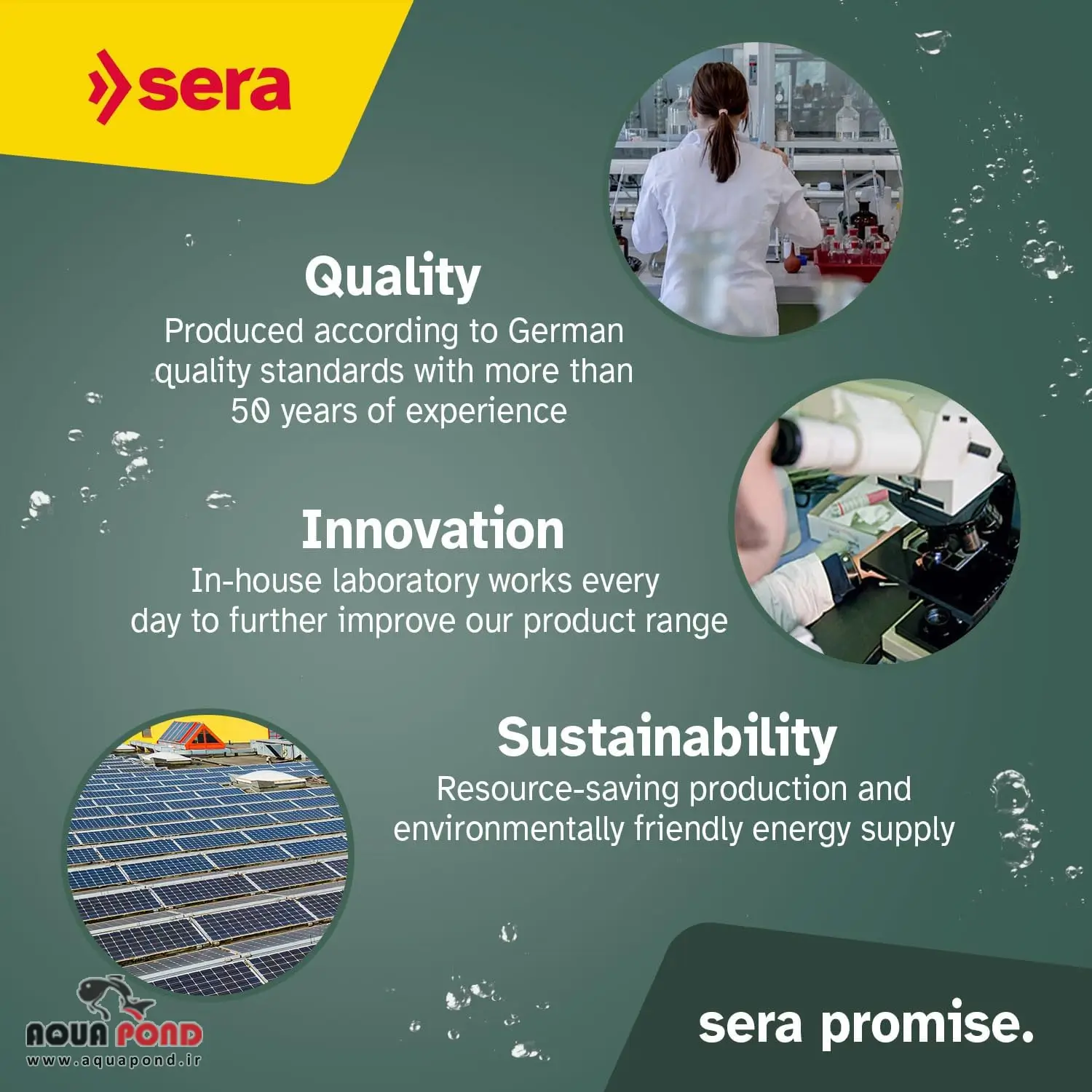 غذای سرا کوی سامر