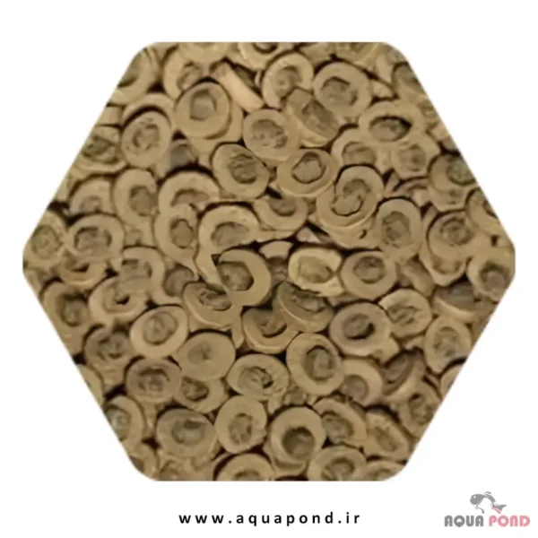 کوی سامر سرا غذای حرفه ای فصل تابستان ماهی کوی