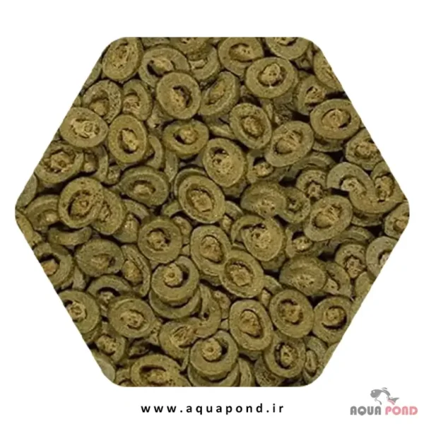 کوی پروفشنال سرا فصل بهار و پاییز غذای حرفه ای ماهی کوی