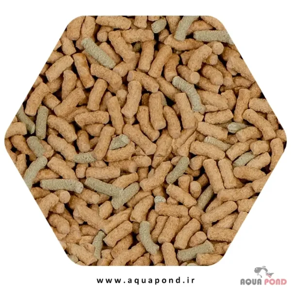 سرا رافی پی نیچر