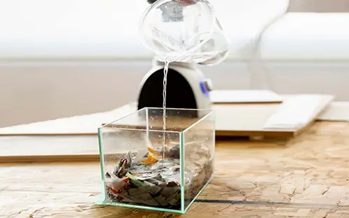 شرایط-ایده-آل-آب-برای-ماهی-های-حساس-1