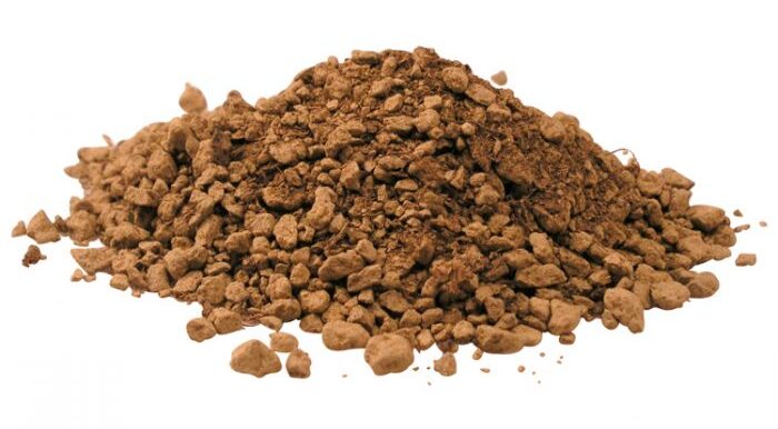 تروپیکا سابستریت