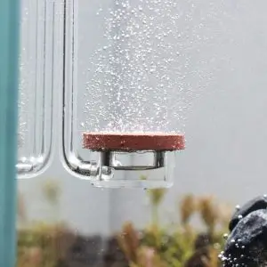 img_2040_2-300x300 دفیوزر اکسیژن نئو اسپشیال نرمال