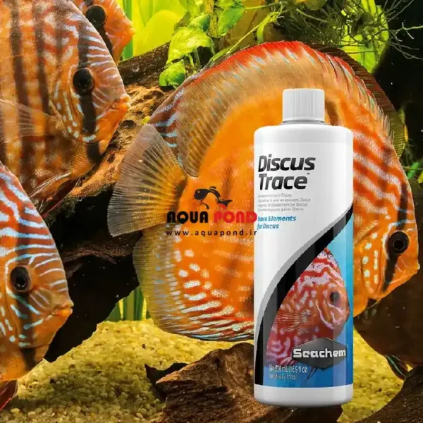 دیسکس تریس سیچم محلولی از عناصر کمیاب و ضروری