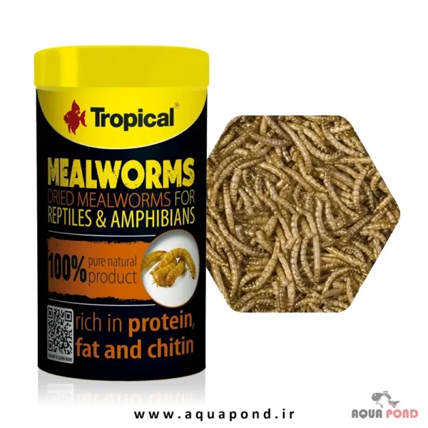 کرم میلورم خشک تروپیکال