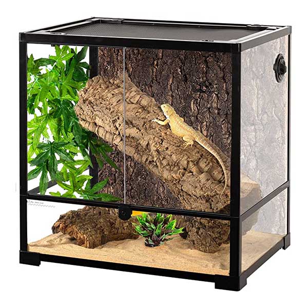 Suitable terrarium dimensions and material