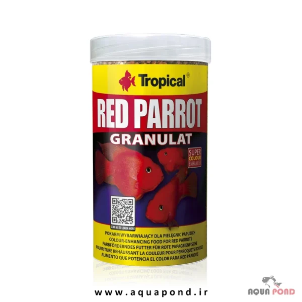 Tropical Red parrot
