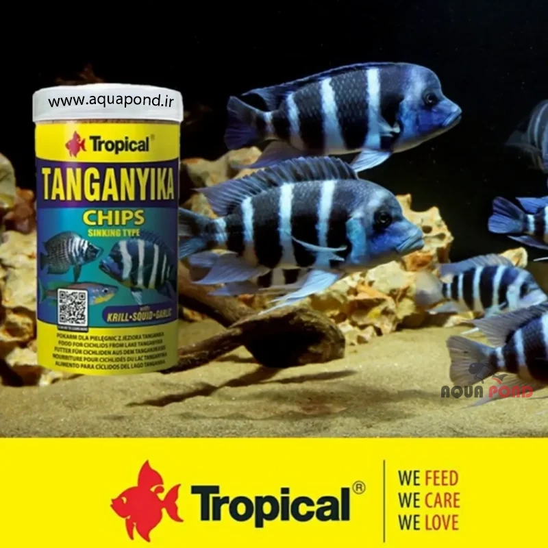 Tropical Tanganyika Chips