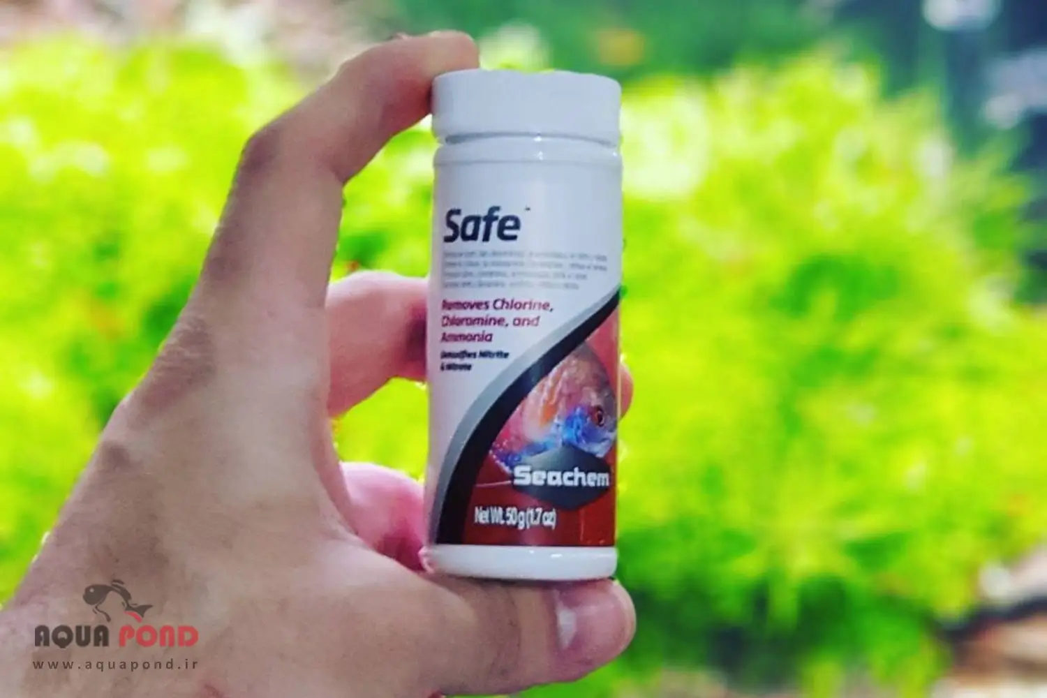 پودر سیف سیچم قوطی 100 گرمی