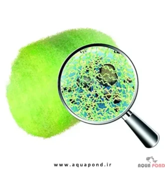 ابر کریستال کلیر پروفشنال سرا زلال و شفاف کننده آب