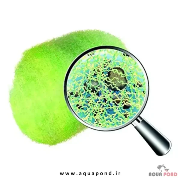 ابر کریستال کلیر پروفشنال سرا زلال و شفاف کننده آب