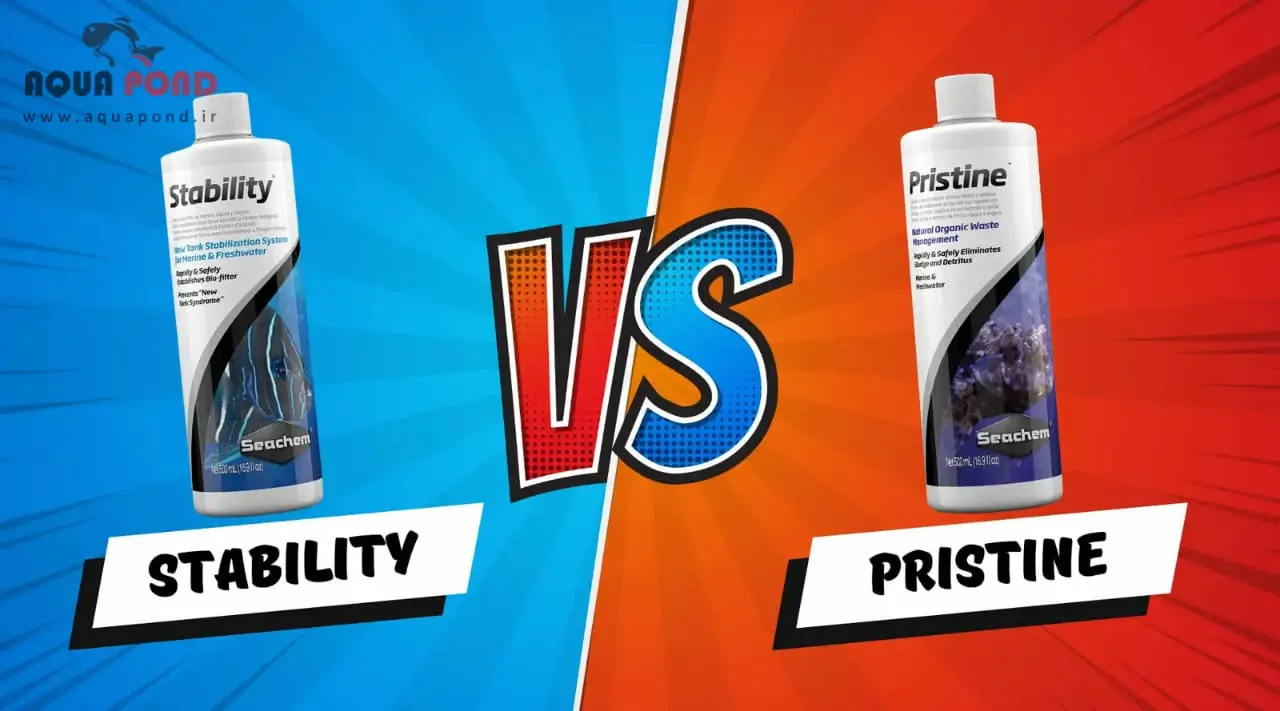 مقایسه باکتری پریستاین و استبیلیتی
