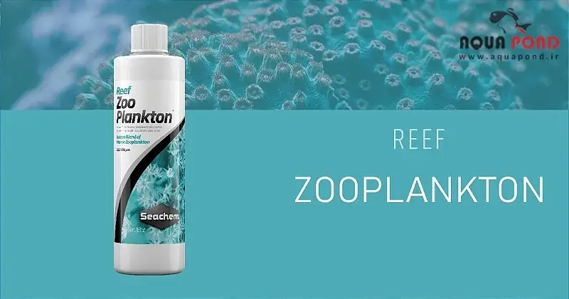ریف زوپلانکتون سیچم
