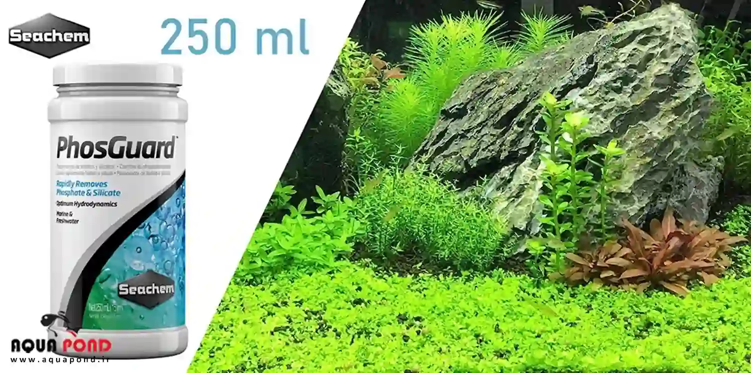 فوسگارد سیچم