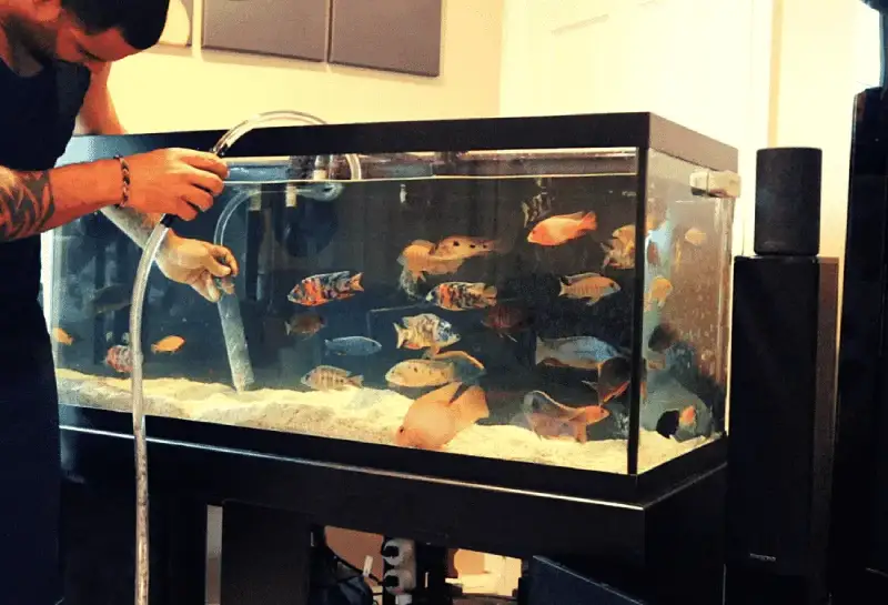 نظافت آکواریوم: راهنمای کامل تمیزکاری آکواریوم + معرفی ضروریترین لوازم نظافت