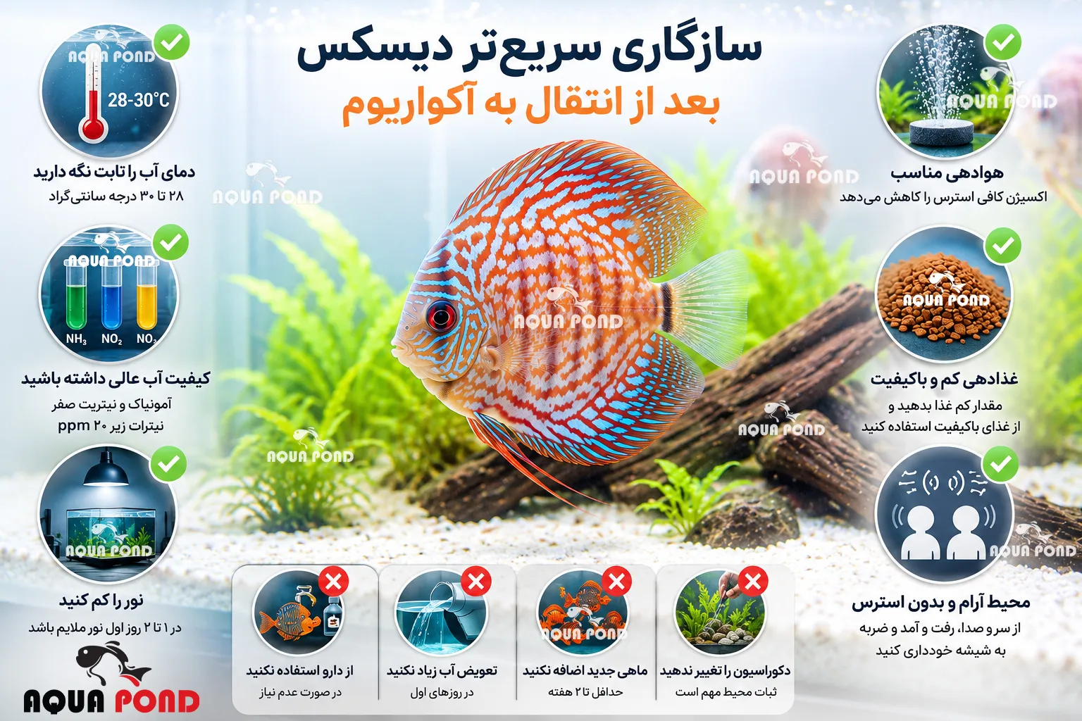 روش های سازگاری بهتر دیسکس پس از انتقال به آکواریوم جدید